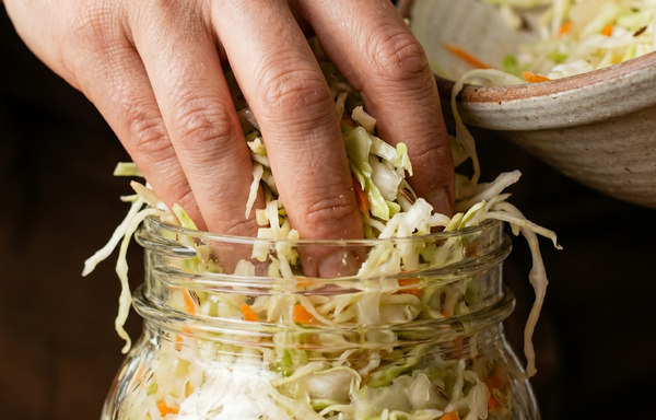 Gids voor fermentatie